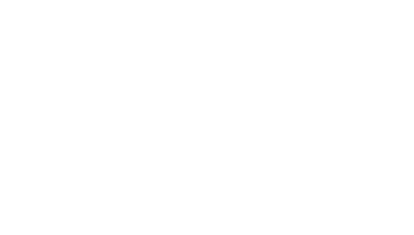 ECS Elegance logo